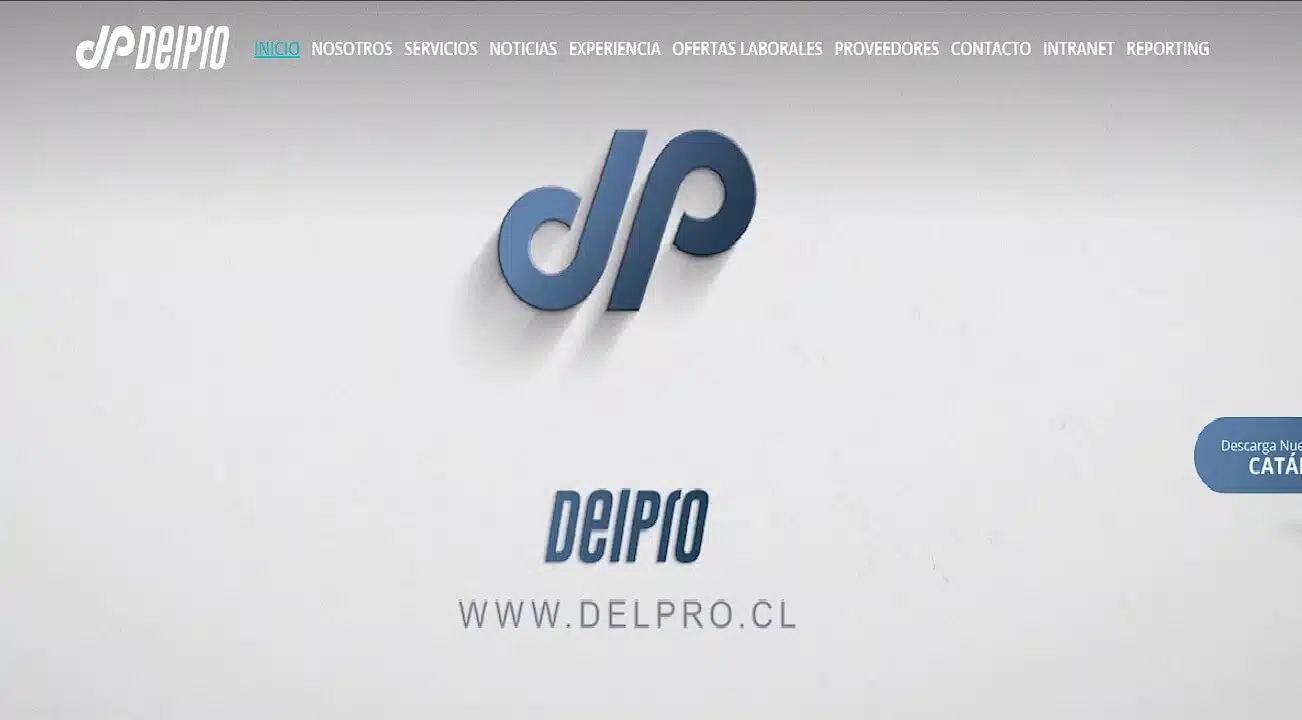 delpro.cl_